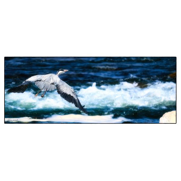 PHOTO84, CLUB, 84 , LUBERON